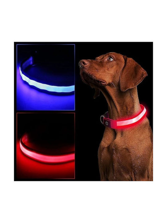 Led Light-up Dog Collar Size S 3 Lighting Modes