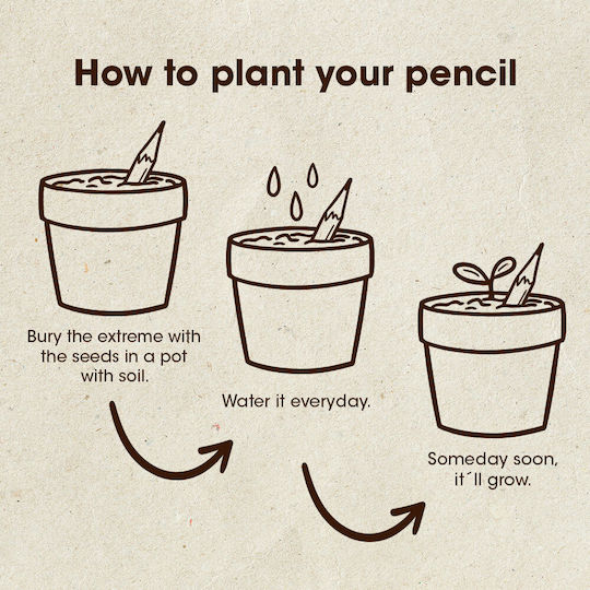 Plantable Pencils Chamomile