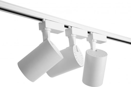 30w LED Natural White Spot with 10 Lights in White Color