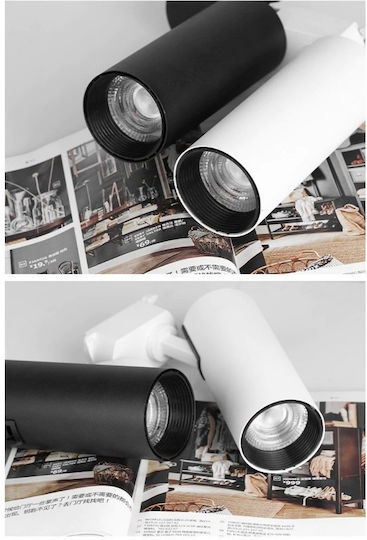 30w LED Kaltweiß Spot mit 10 Lichtern in Weiß Farbe
