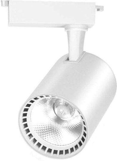30w LED Natural White Spot with 10 Lights in White Color