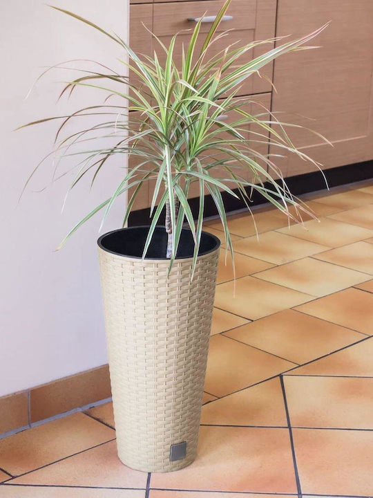 Prosperplast Κασπώ Rattan Καφέ 40x40εκ. 2τμχ