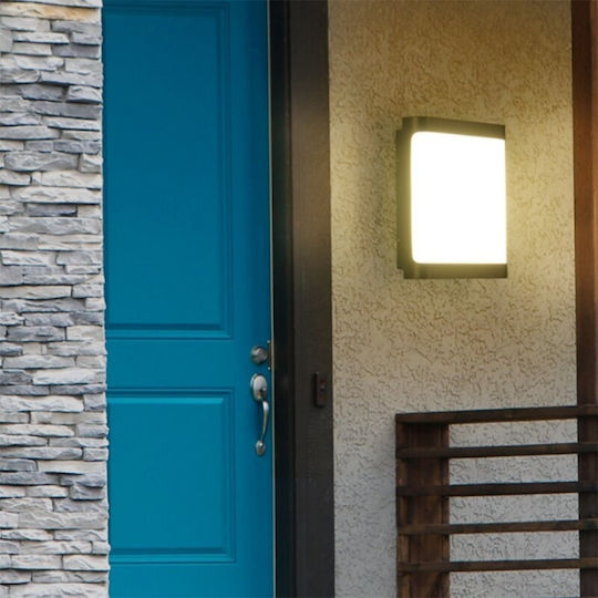 Lumină de exterior montată pe perete LED IP65 20W cu Alb Rece Lumină 20x16x5εκ.
