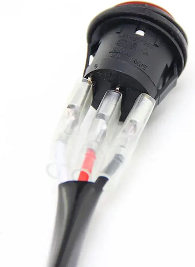 Releu Auto 12V
