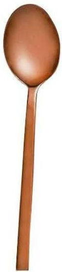 Espiel Divine Fruit Spoon Stainless Steel Brown 18.2cm