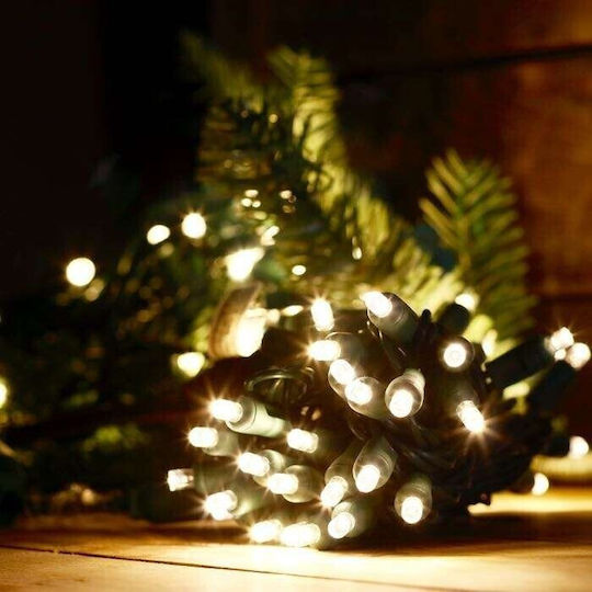 10 Lights LED 1m. Green Battery in String 2pcs