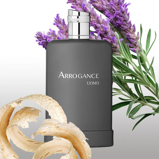 The First Aftershave Toner mit Sandelholz 100ml