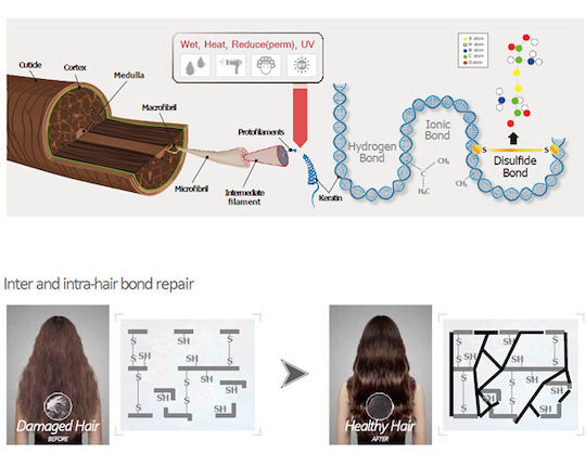 Hairfection Peptide Rebond System Mist Μαλλιών 24ml & Leave In Μάσκα Μαλλιών 30ml