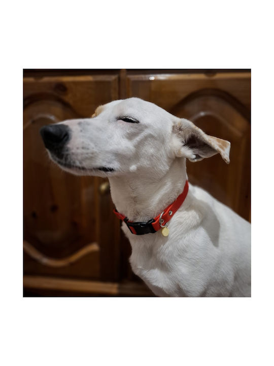 Dog Collar Hexa Colored Adjustable Waterproof Collar Bailu S 27 37 Width 2cm Red