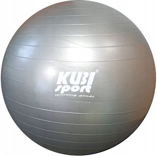 Zipro Ball Pilates 75cm in Gray Farbe