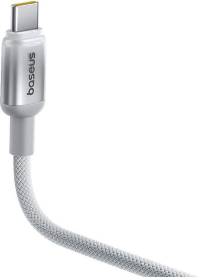 Baseus USB 2.0 Kabel USB-C männlich - USB-C 100W Silber 2m