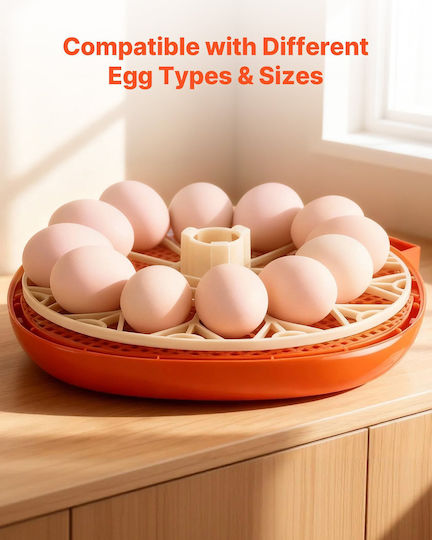 Vevor Automatic Egg Incubator 12 Eggs