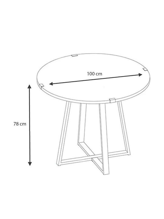 Dining Room Rubes - Viva 5pcs 100x100cm