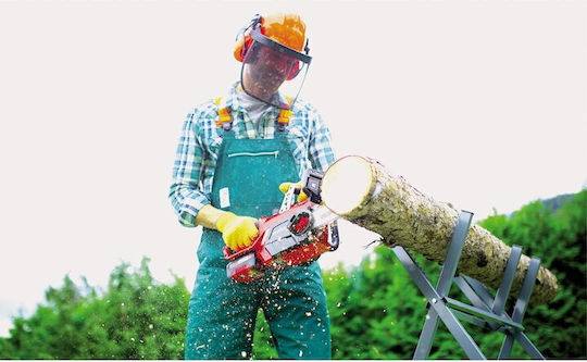 Einhell Кастрене 18V 1.2кг с шина 25см