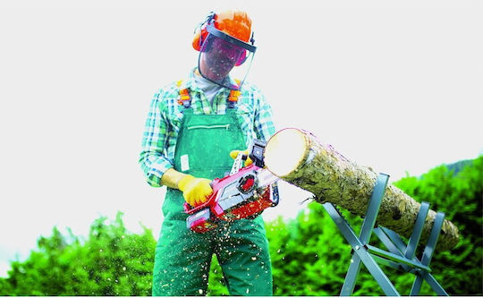 Einhell 18V с шина 25см