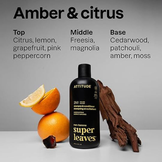 Attitude 2-in-1 Shampoos 415ml