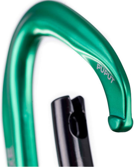 Carabinier Simplu Fixe Climbing Picot Curve Verde
