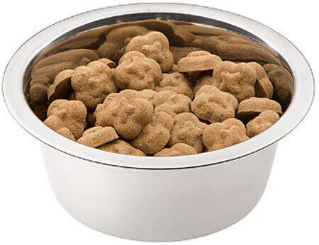 Ferplast Orion Stainless Steel Bowl Food & Water Slow Feeder for Dog & Cat 2.8lt 25cm in Silver Color