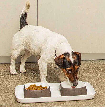 Ferplast Tray Plastic Bowl Food & Water for Dog & Cat with Base 2x 400ml in Gray Color
