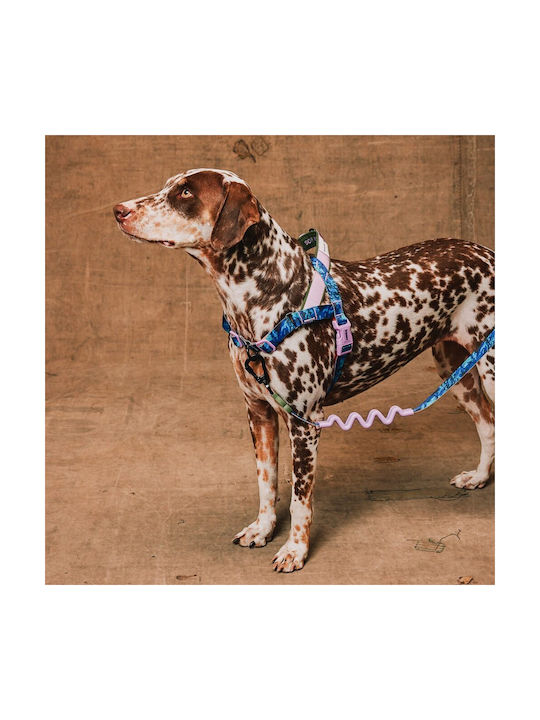 Zee Dog Dog Harness Training Softer Walk Reebok Trekk 41-54cm S