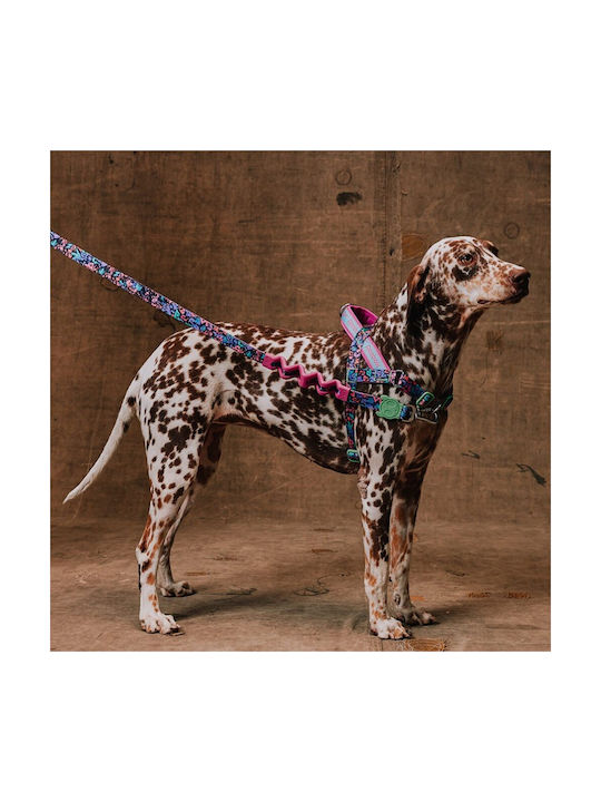 Zee Dog Ошийник за Кучета Reebok Aerobic 31-43см Х 1,5см S