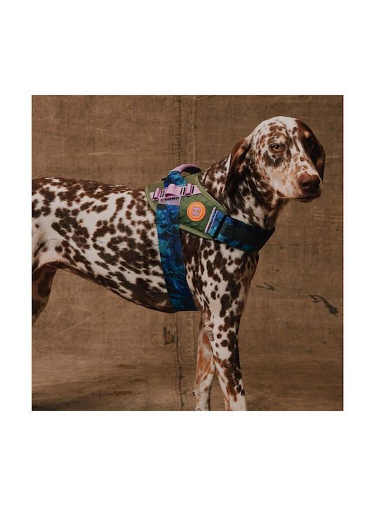 Zee Dog Περιλαίμιο Σκύλους Reebok Trekk 31-43cm X 1,5cm S
