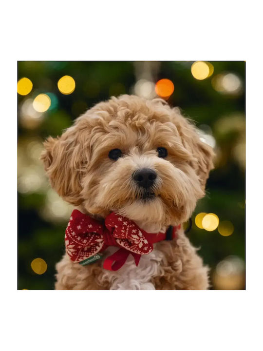 Christmas Bow Tie for Dogs and Cats 7×4×33cm