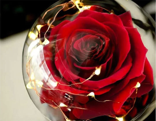 Διακοσμητικό Φωτιστικό LED Θερμό Λευκό Forever Rose
