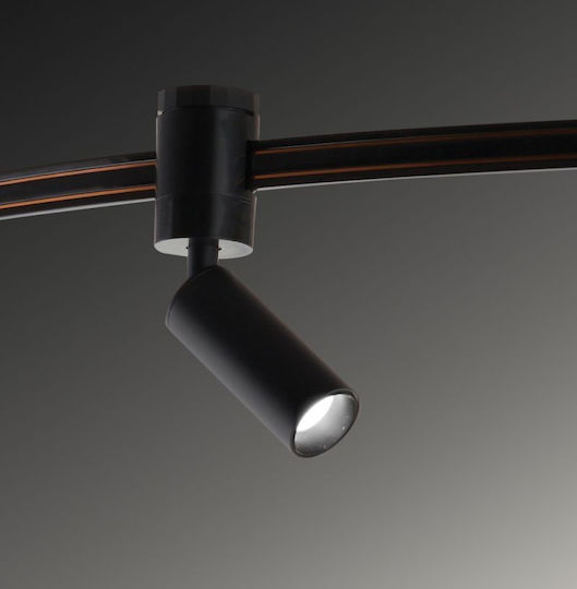 Viokef Single Spot in Black Color