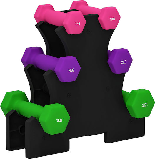 Sportnow Σετ Βάρη Χειρός Στήριγμα 6 Συνολικά Βάρη 2x1 Kg 2x2 Kg 2x3 Kg Πολύχρωμο A91-317v00mx