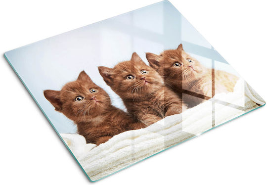 Glass Kitchen Safety Board Tempered Glass Towel Kittens 60x52 Cm