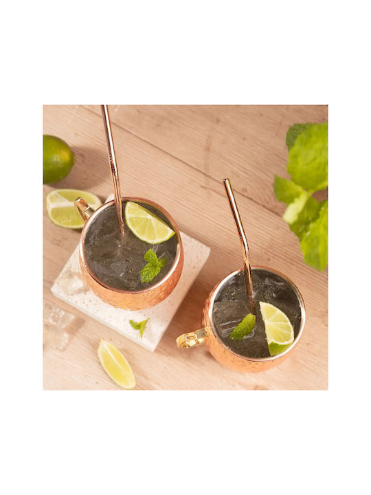 KING Hoff Set Gläser Cocktail/Trinken aus Edelstahl mit Strohhalm 500ml 2Stück