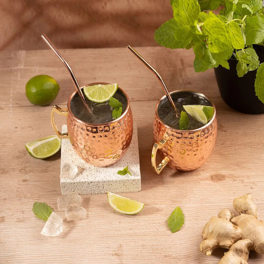 KING Hoff Set Gläser Cocktail/Trinken aus Edelstahl mit Strohhalm 500ml 2Stück