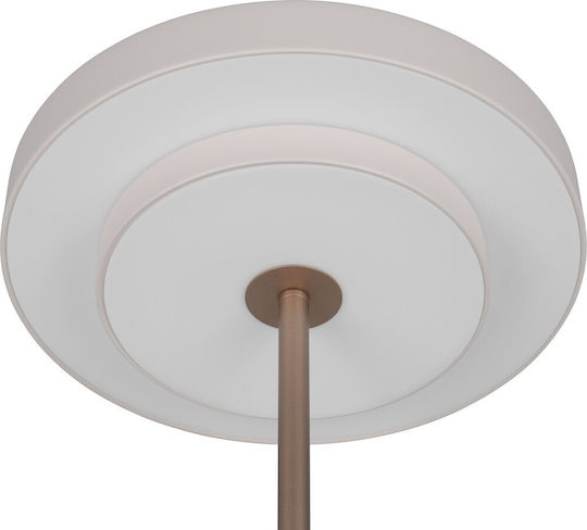 Trio Lighting Διακοσμητικό Φωτιστικό Keaton