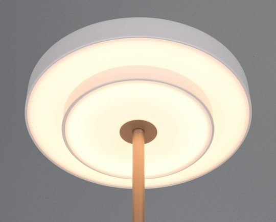 Trio Lighting Διακοσμητικό Φωτιστικό Keaton