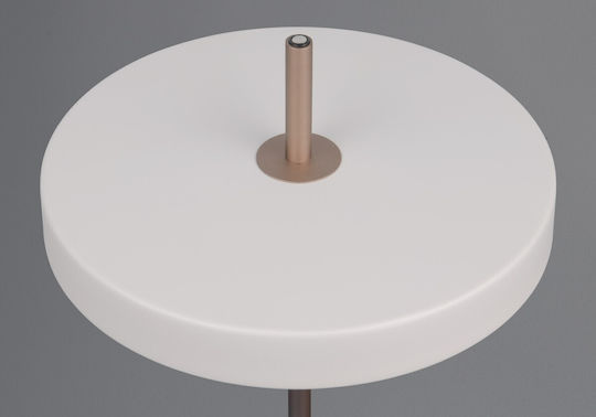 Trio Lighting Διακοσμητικό Φωτιστικό Keaton