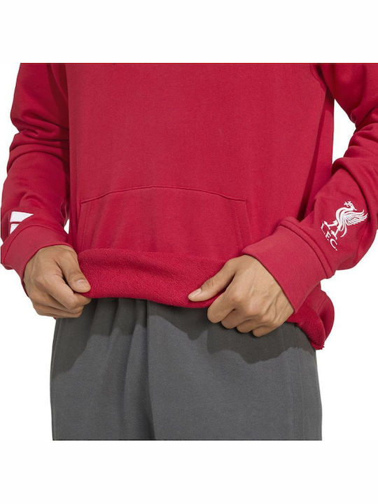 Sweatshirt mit Kapuze Rot