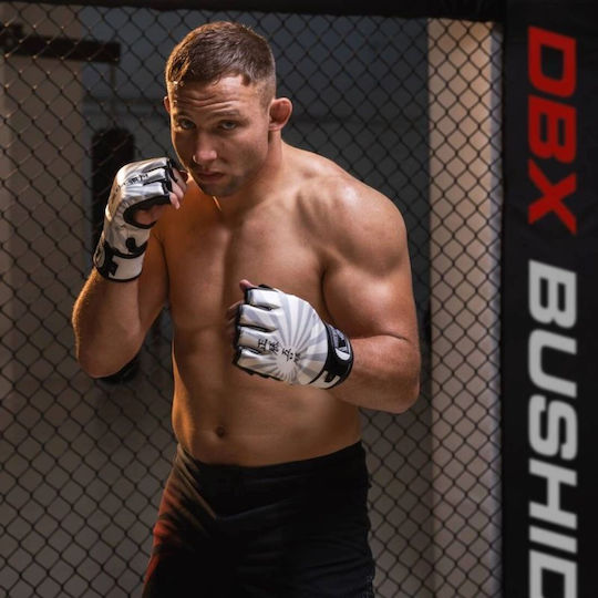 DBX Bushido Боксови Ръкавици от Синтетична Кожа за Чувал Сиви