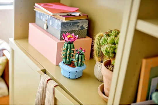 LEGO Botanical Collection Flowering Cactus για 9+ Ετών 482τμχ