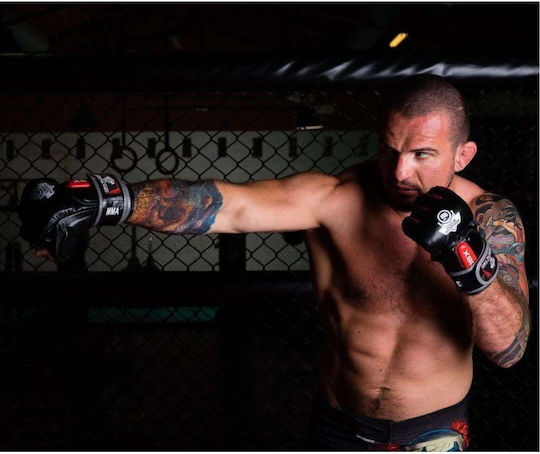 DBX Bushido Boxhandschuhe aus Leder Schwarz