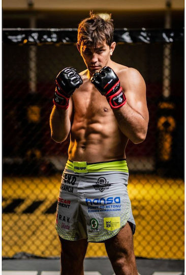 DBX Bushido MMA Ръкавици изкуствена кожа Черен