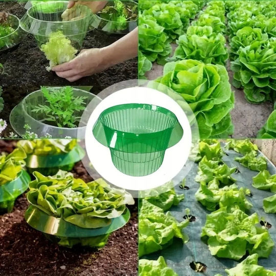 Vegetable Cover Slugs Lettuce Pests Seedlings Effective Eco 10 Pcs