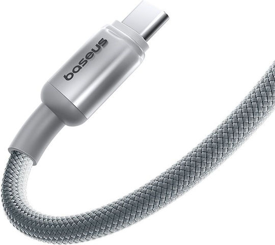 Baseus USB 2.0 Kabel USB-C männlich - USB-C 100W Silber 2m