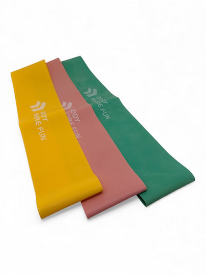 Body More Fun Resistance Band Loop Pink 0.66m