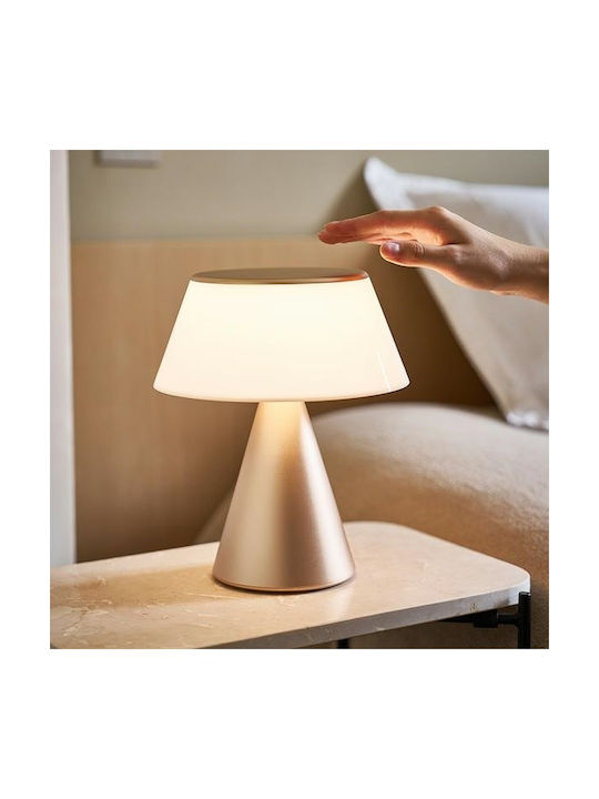 Lexon Decorative Lamp