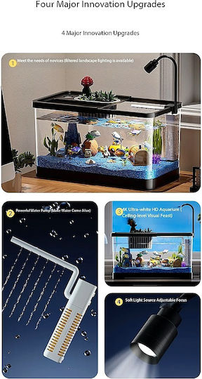 Aquarium for Fish Capacity 10.5L with Lighting 30x19x18.5cm
