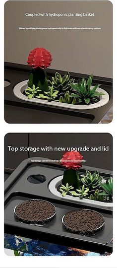 Aquarium Fish Tank Capacity 10.5lt Includes Filter 30x18.5cm