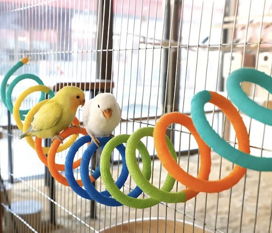Parrot Perch Rope Flexi Birds Kingdom Rainbow Perch 30cm
