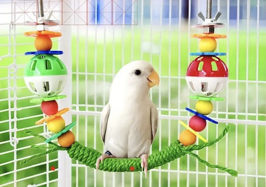 Perchoir Pentru Papagali Birds Kingdom Moonwalk 17 cm