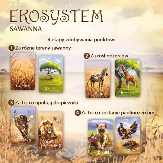 Board Game Ecosystem 3 Savannah for 1-6 Players 8+ Years Old (PL) Nasza Ksiegarnia
